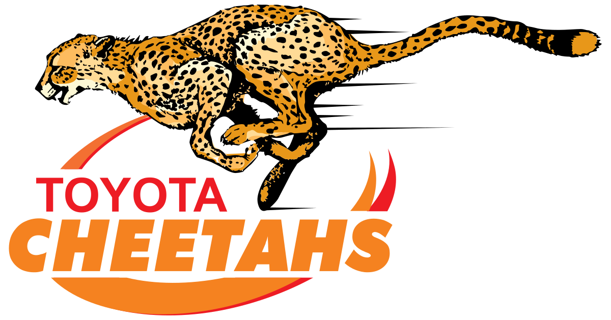 Cheetahs 