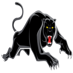  Panthers  