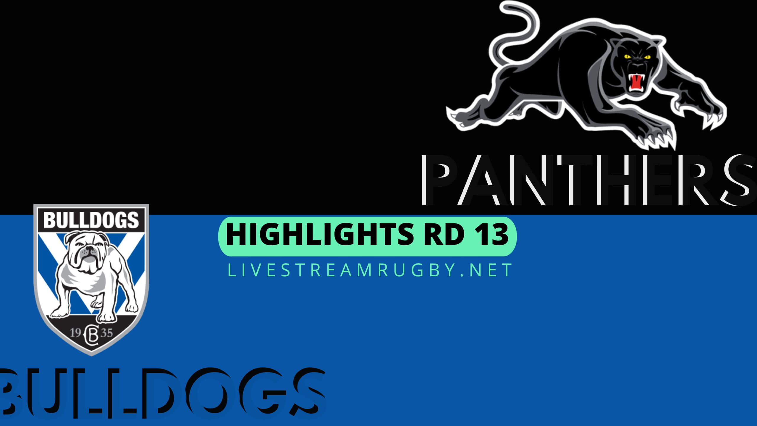 Panthers Vs Bulldogs Highlights 2022 Rd 13 NRL Rugby