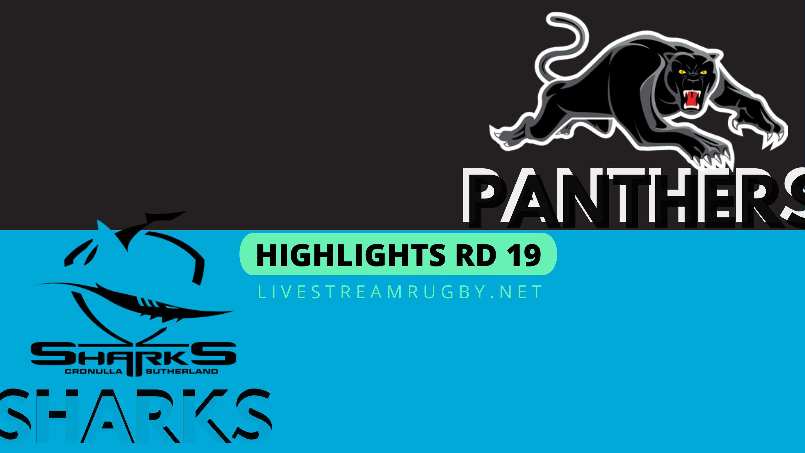 Panthers Vs Sharks Highlights 2022 Rd 19 NRL Rugby