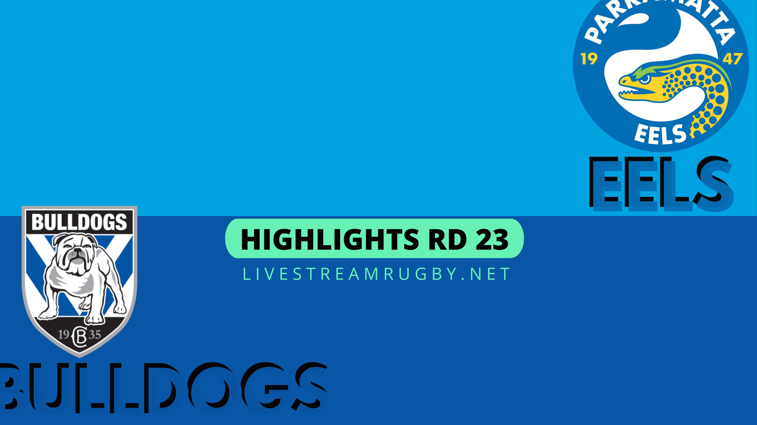Eels Vs Bulldogs Highlights 2022 Rd 23 NRL Rugby