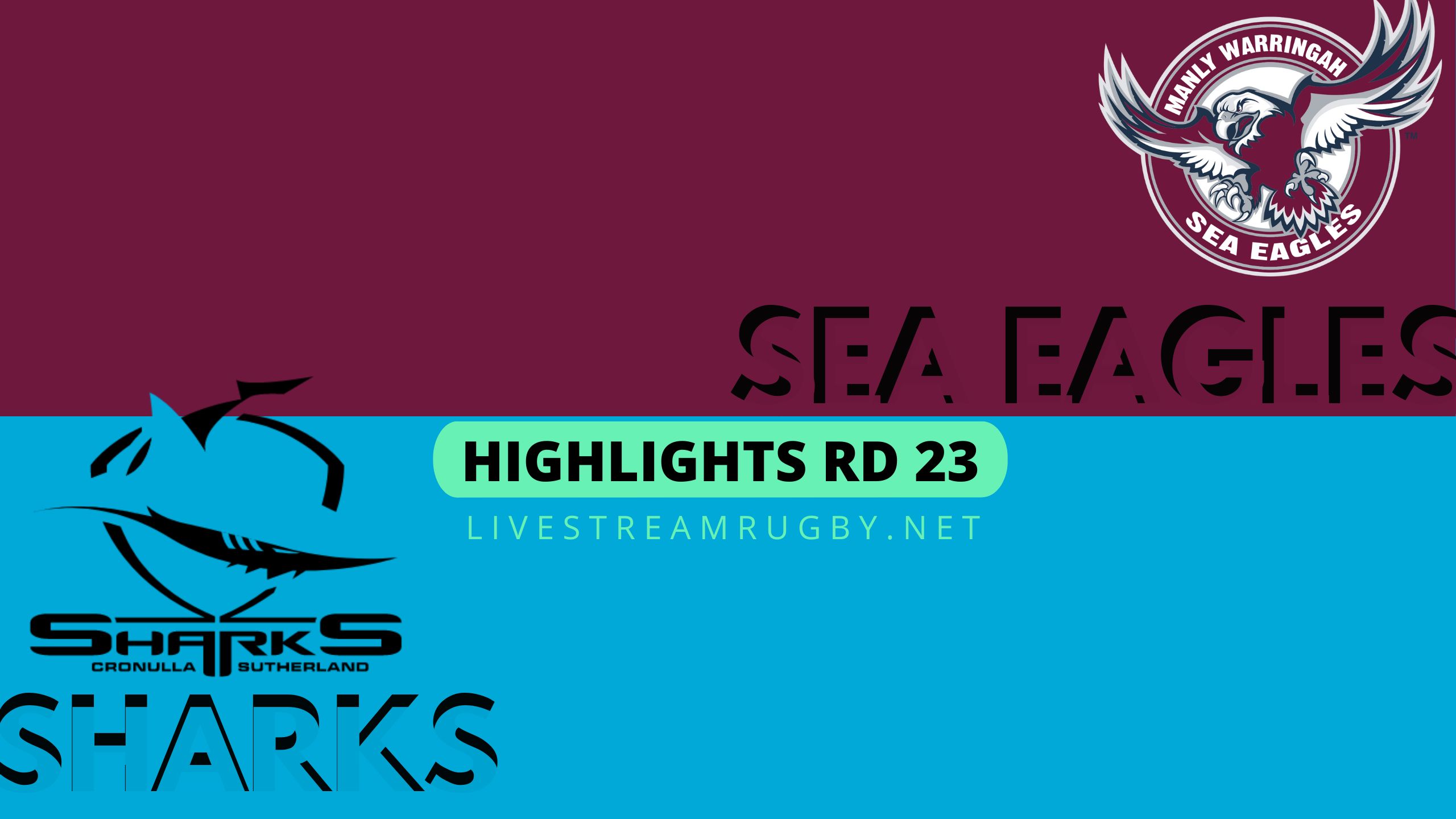 Sea Eagles Vs Sharks Highlights 2022 Rd 23 NRL Rugby