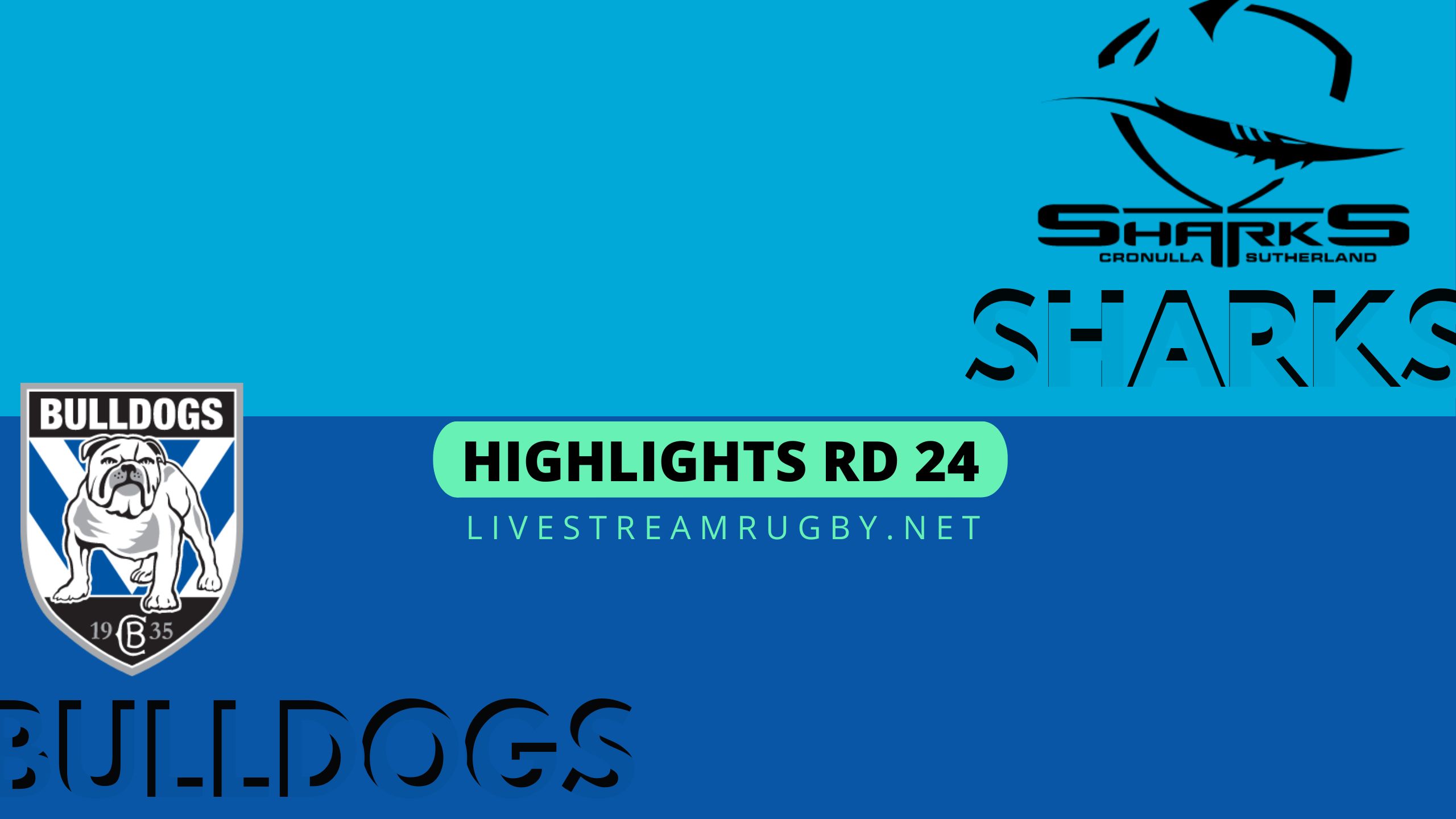 Sharks Vs Bulldogs Highlights 2022 Rd 24 NRL Rugby